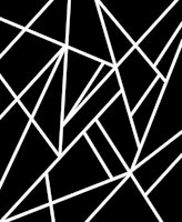 Classic Black White Geo 1 carta da parati