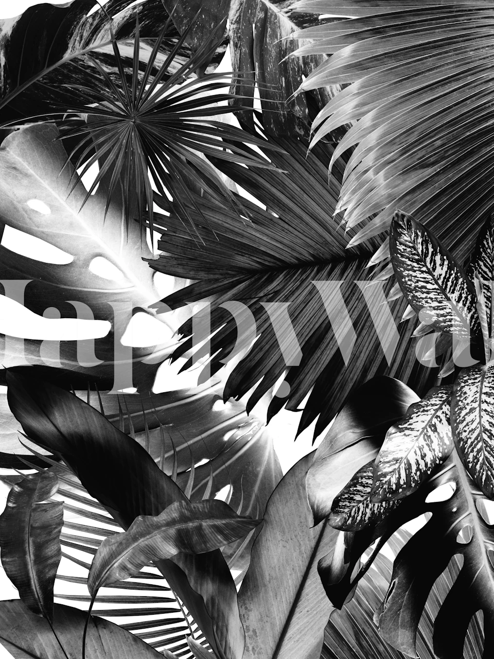 Czarno-biała fototapeta z motywem tropikalnych liści do wystroju wnętrz