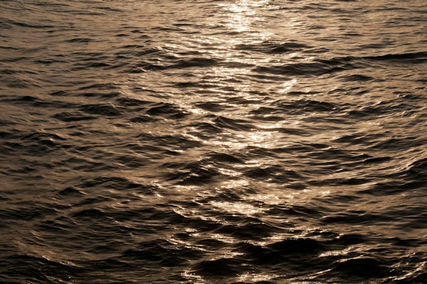 Golden Ocean Dream 2