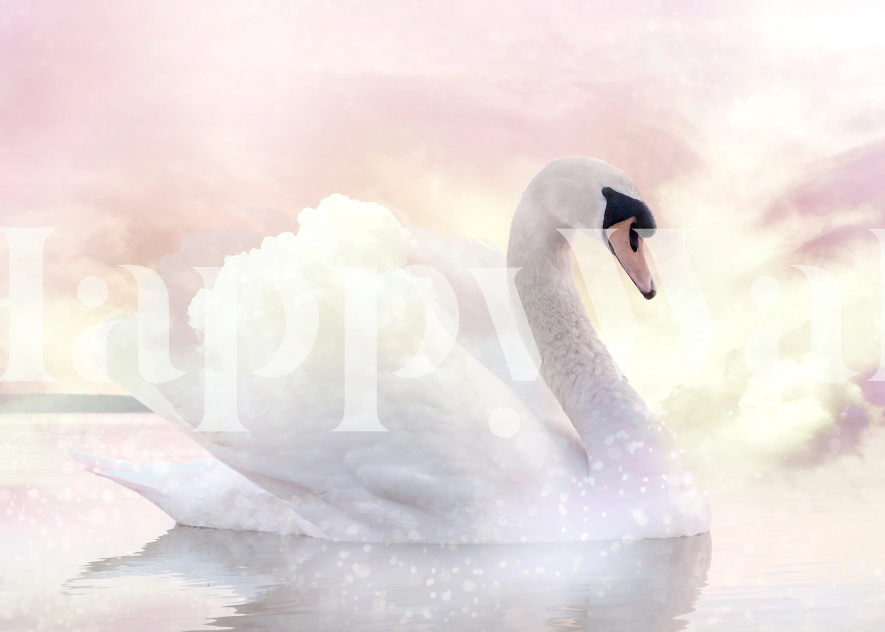 A graceful swan with a blurred, soft pastel background wallpaper