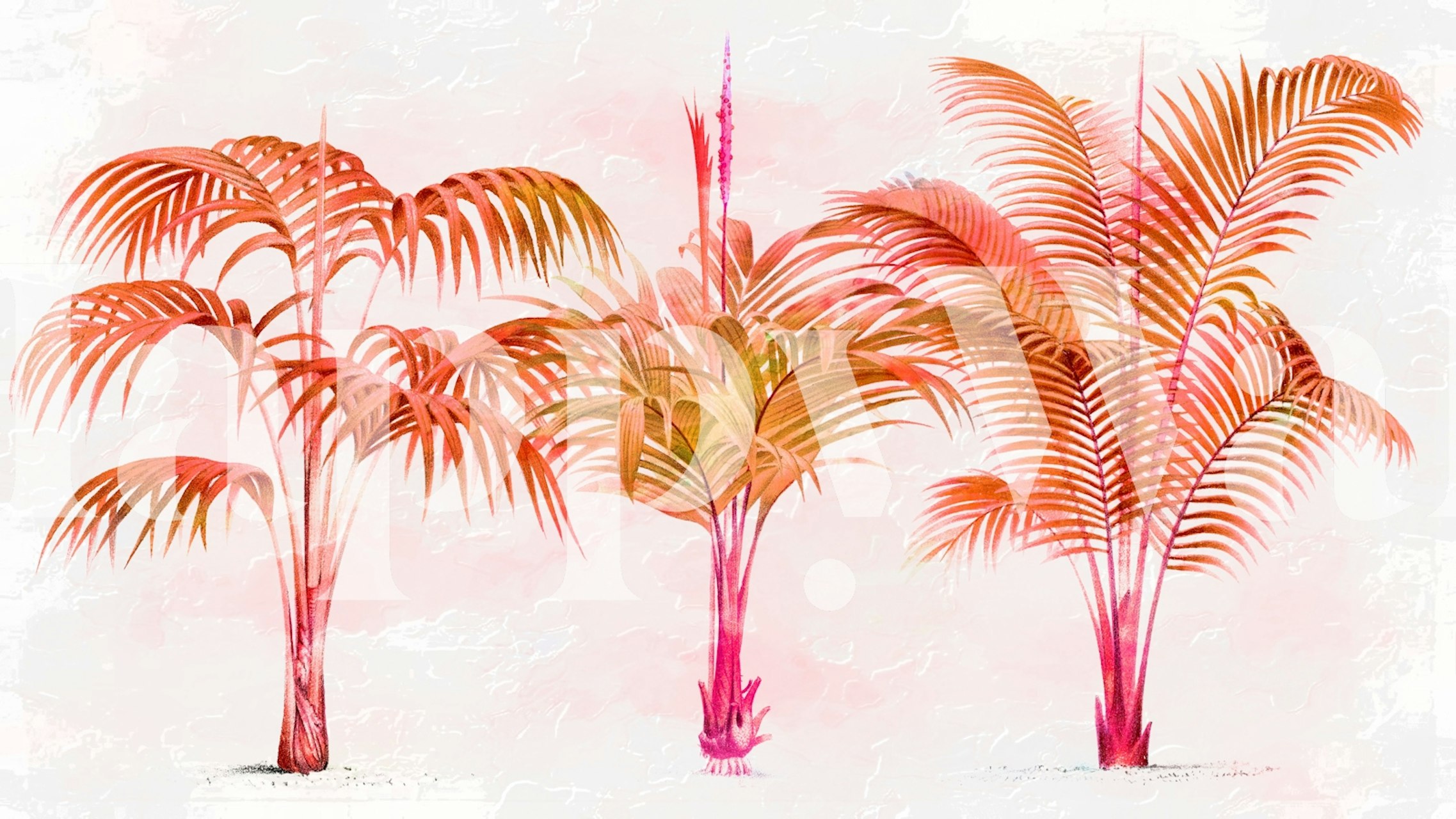 Soothing palm tree wall mural in warm tones.