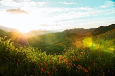 Τοιχογραφία