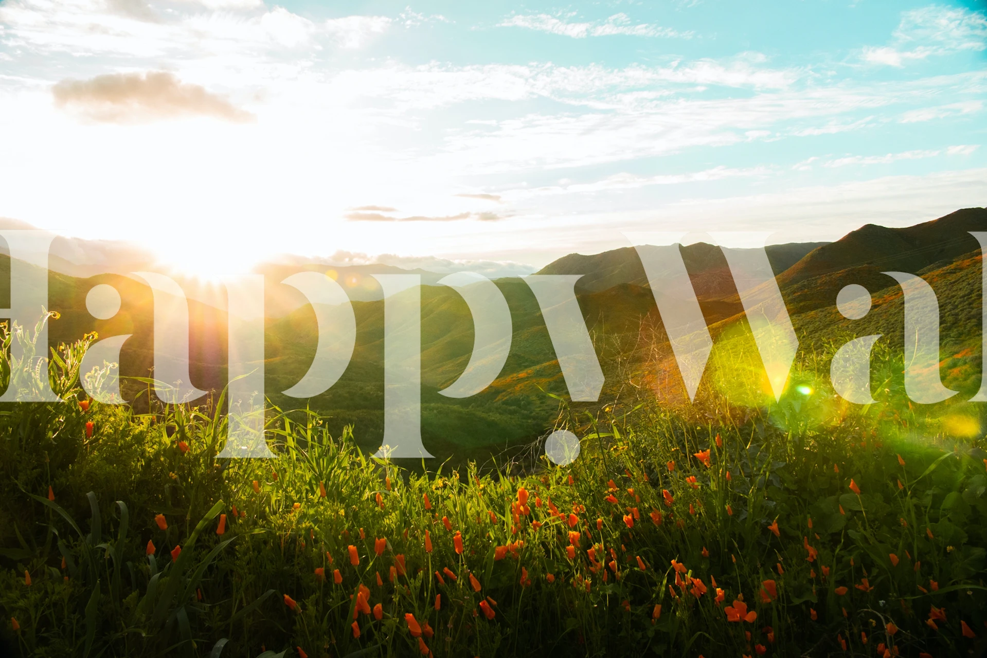 Tapeta California hills w pokoju