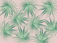 Dushi Fan Palm Bliss 1 tapete