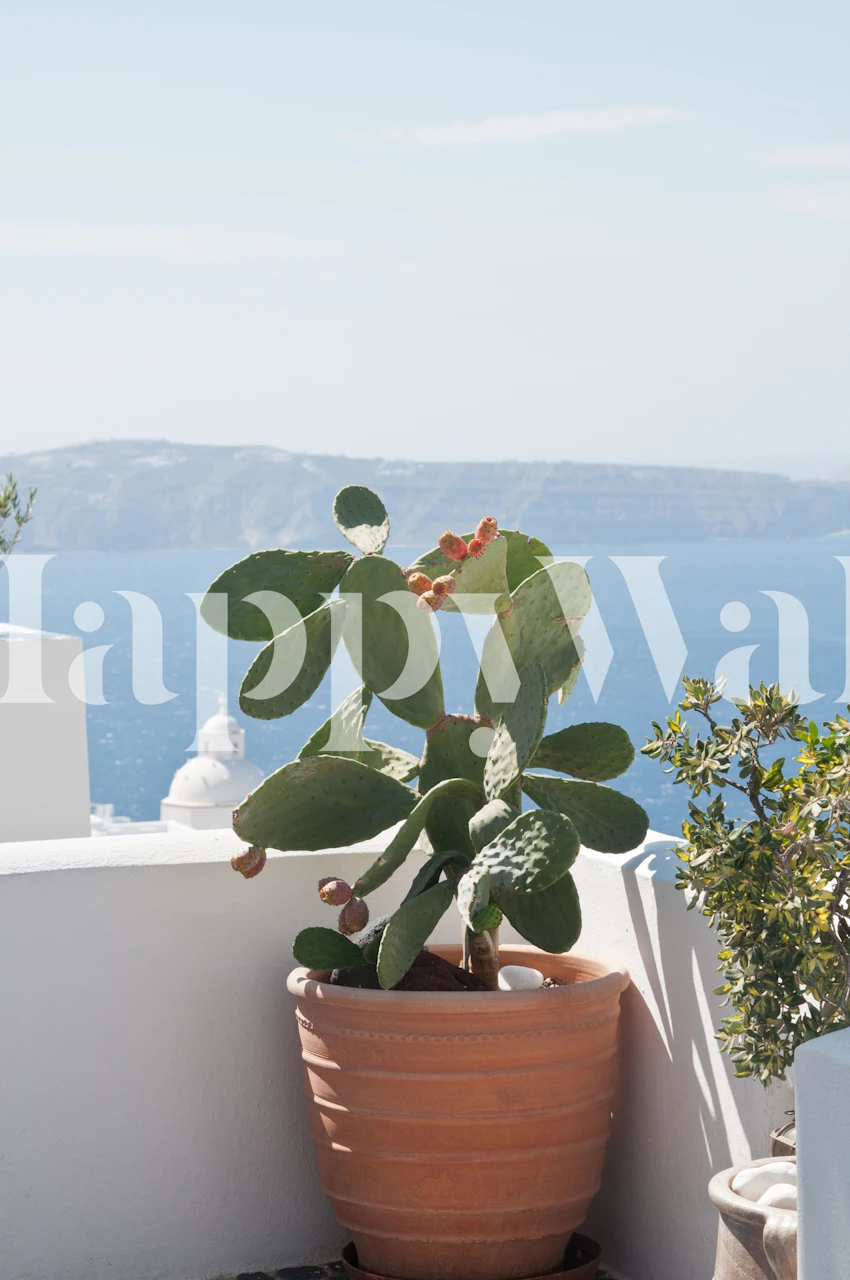 Cactus tapet med kystutsikt