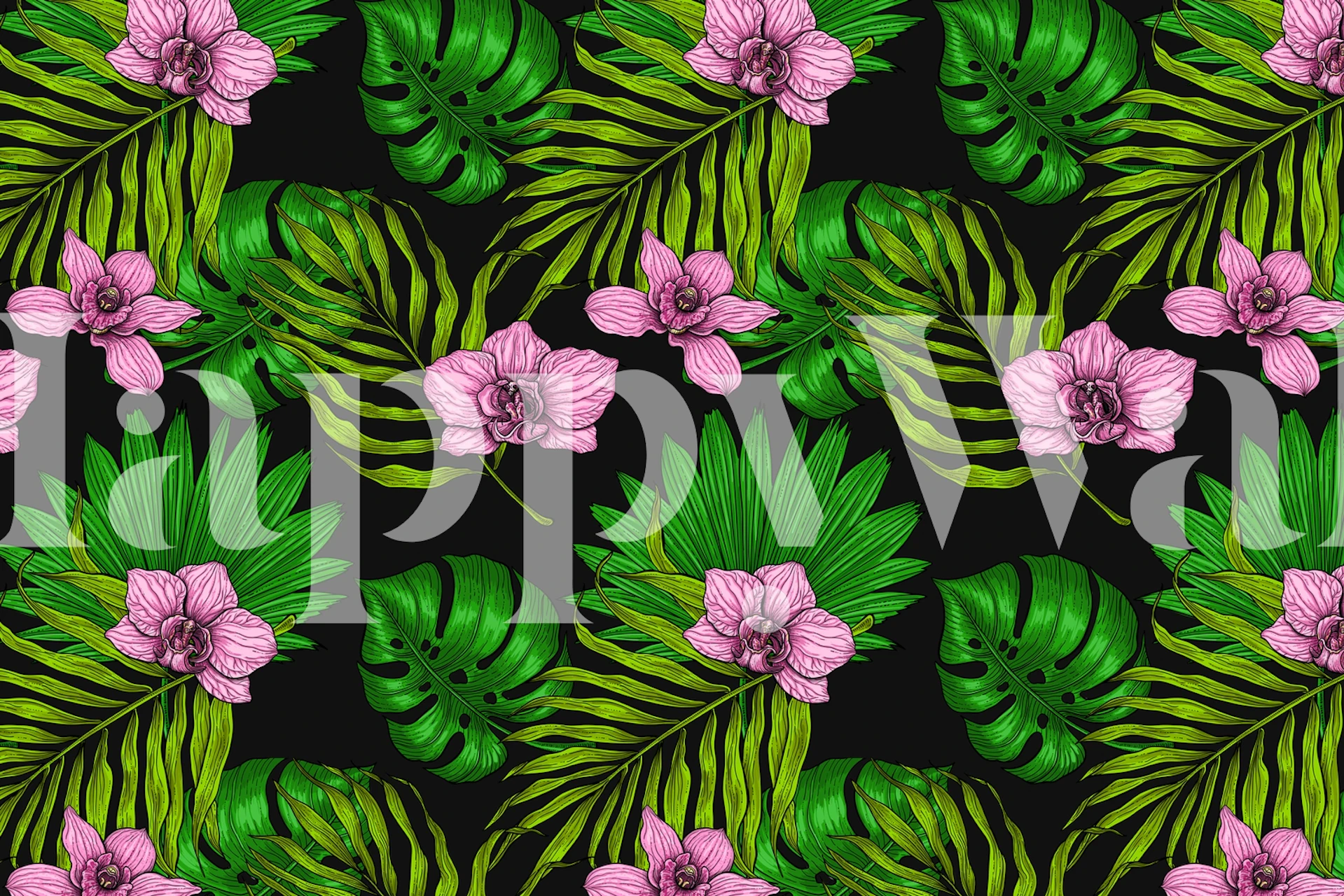 Wzór tropikalnej orchidei i liści palmowych na czarnej fototapecie w tle