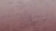 Texture Earth Blush