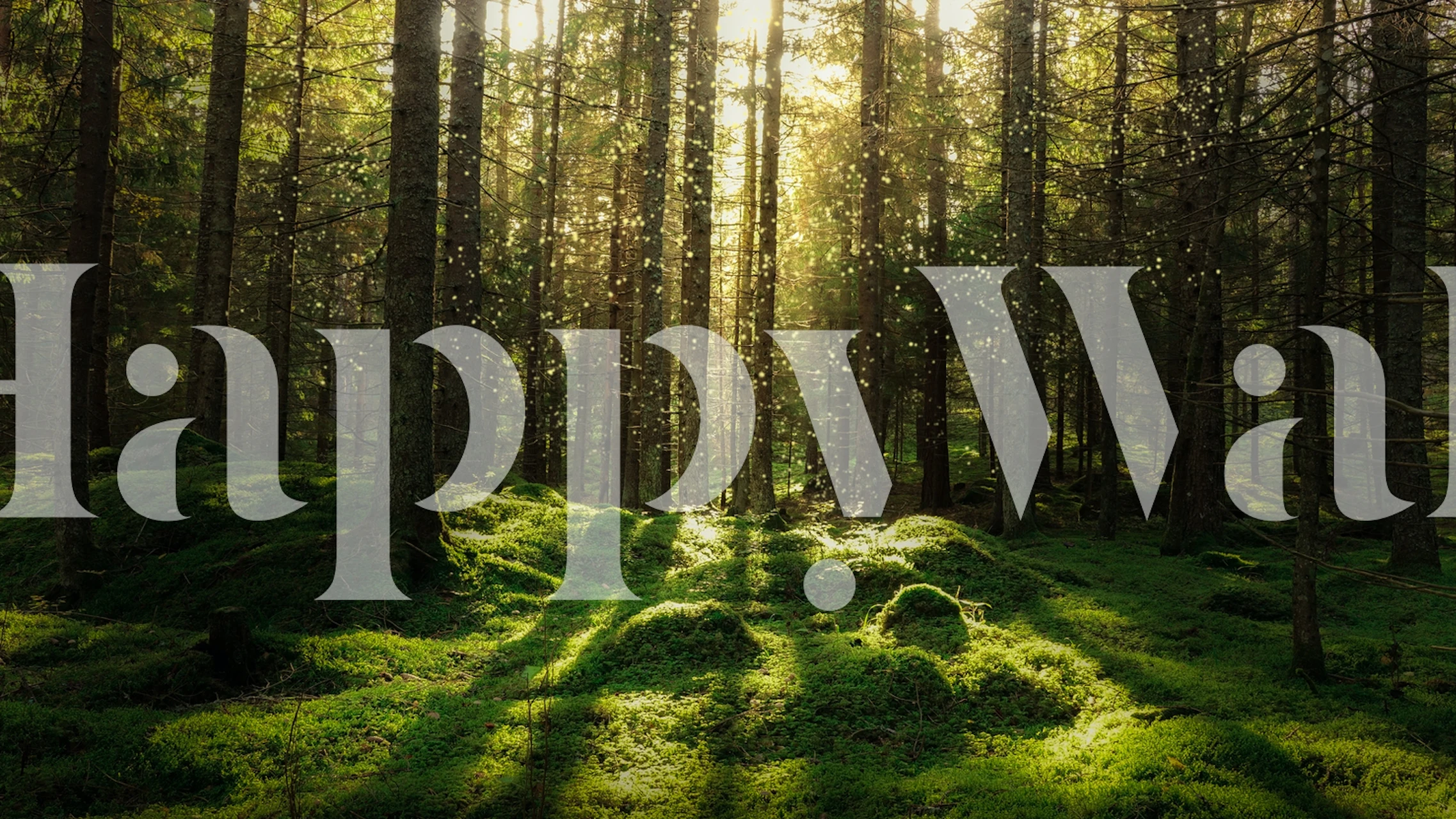 Papel pintado Fairytale forest en una habitación