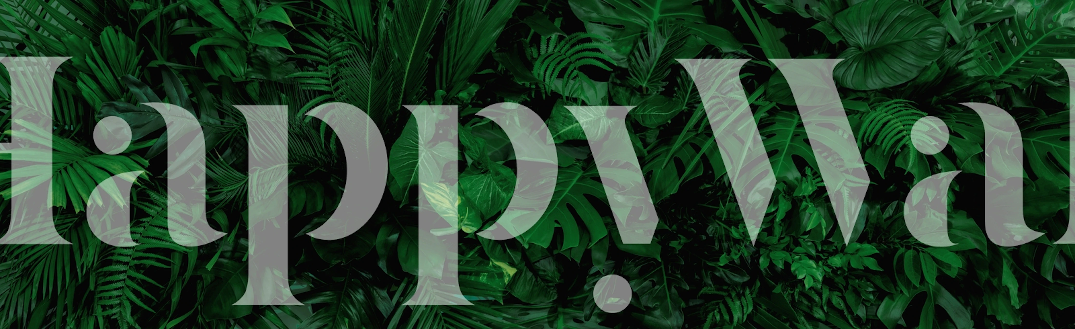 Lush green tropical leaves in various shades on wallpaper