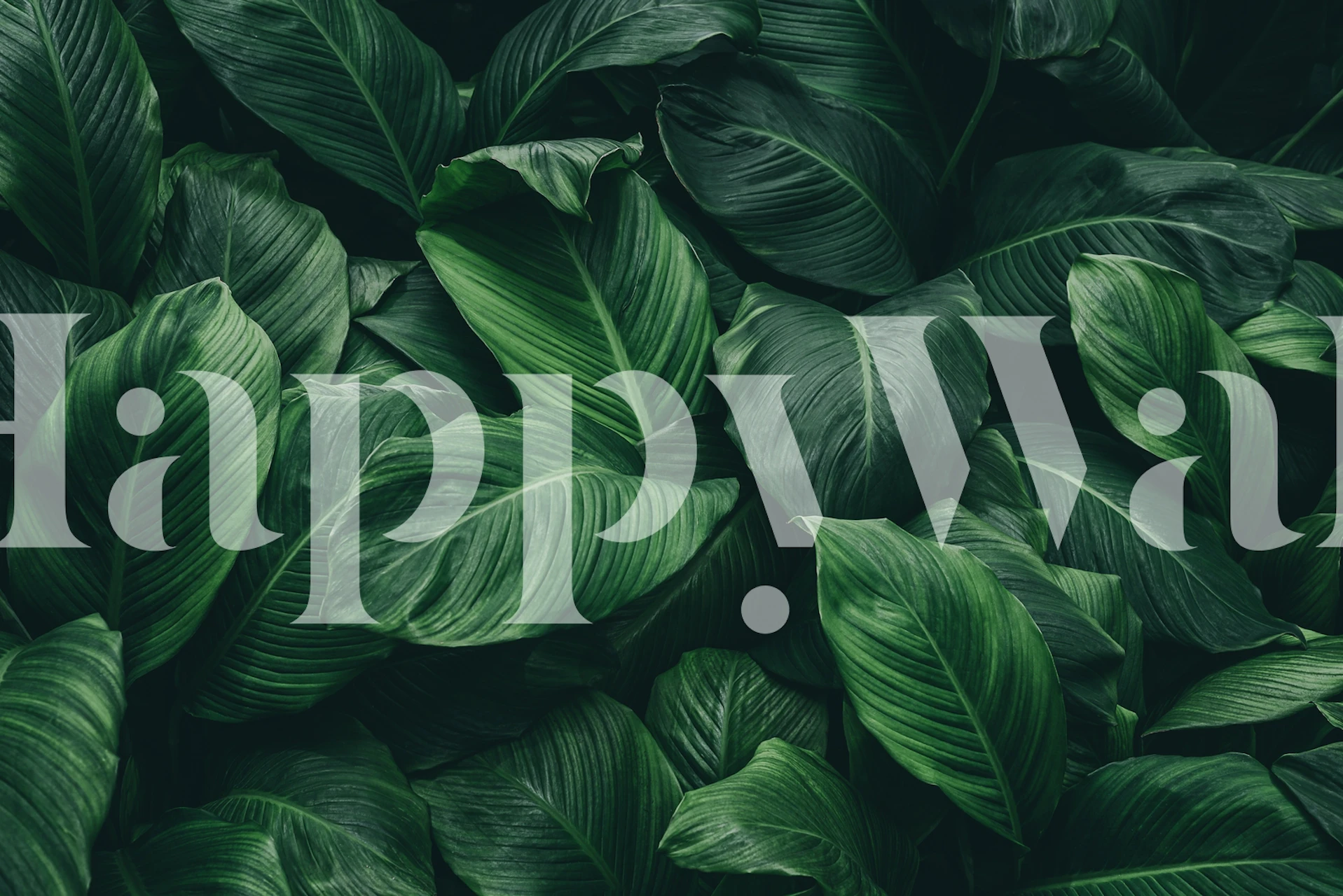 Green leaves wallpaper design