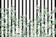 Botanical Stripes