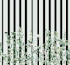 Botanical Stripes
