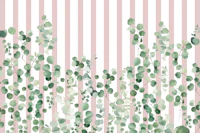 Botanical Stripes Blush Pink papel de parede