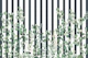 Botanical Stripes Navy