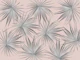Dushi Fan Palm Bliss 3