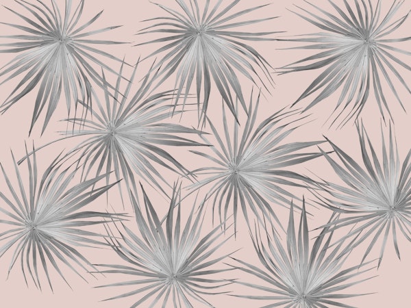 Dushi Fan Palm Bliss 3