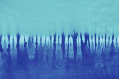 Τοιχογραφία