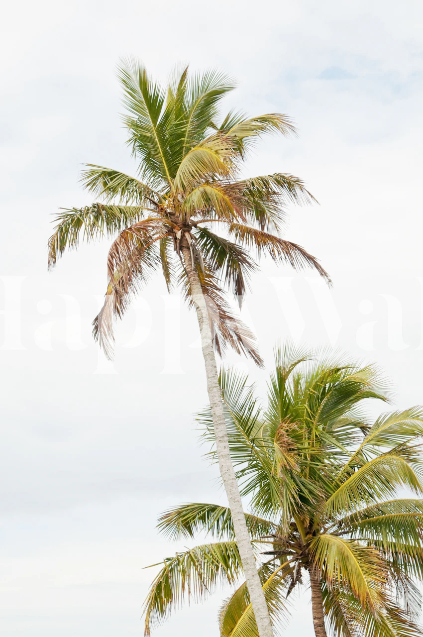 Floridian Palms wallpaper displayed in a room