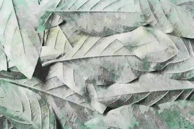 Τοιχογραφία