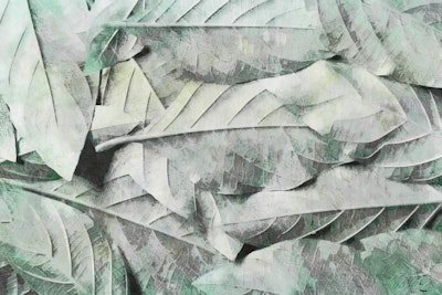 Mural