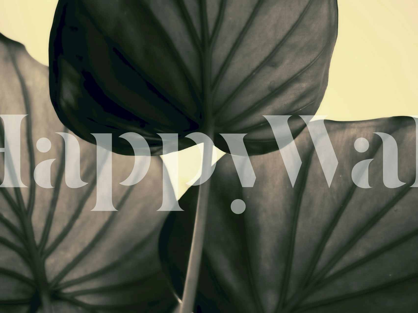 Samtidige svarte blader mønster på Gold