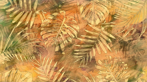 Tropical Sunset Landscape