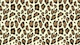 Animal Print