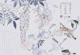 Bird Wisteria Chinoiserie