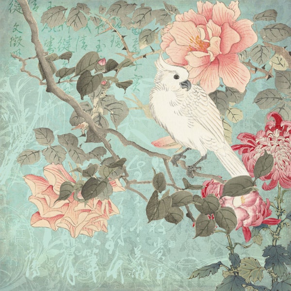 Chinese Cockatoo Garden