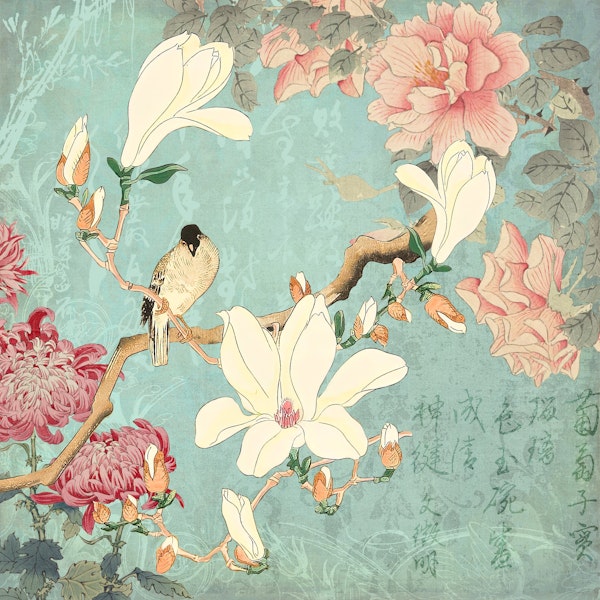 Chinese Magnolia Garden
