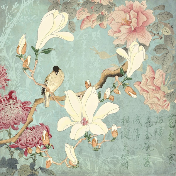 Chinese Magnolia Garden