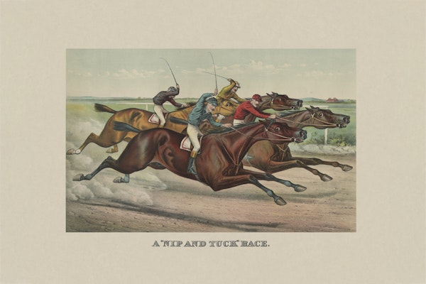 Historic Horse Illustration