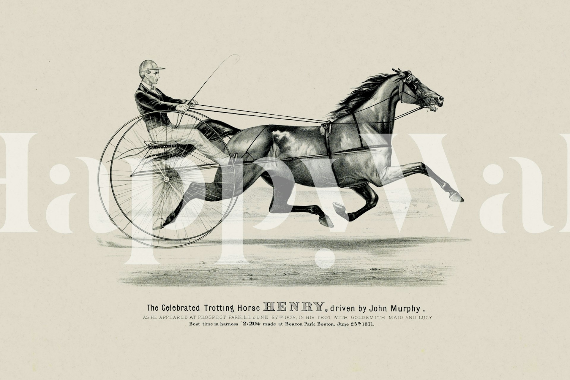 Historic horse riding art wall mural depicting a horse and rider in classical style.