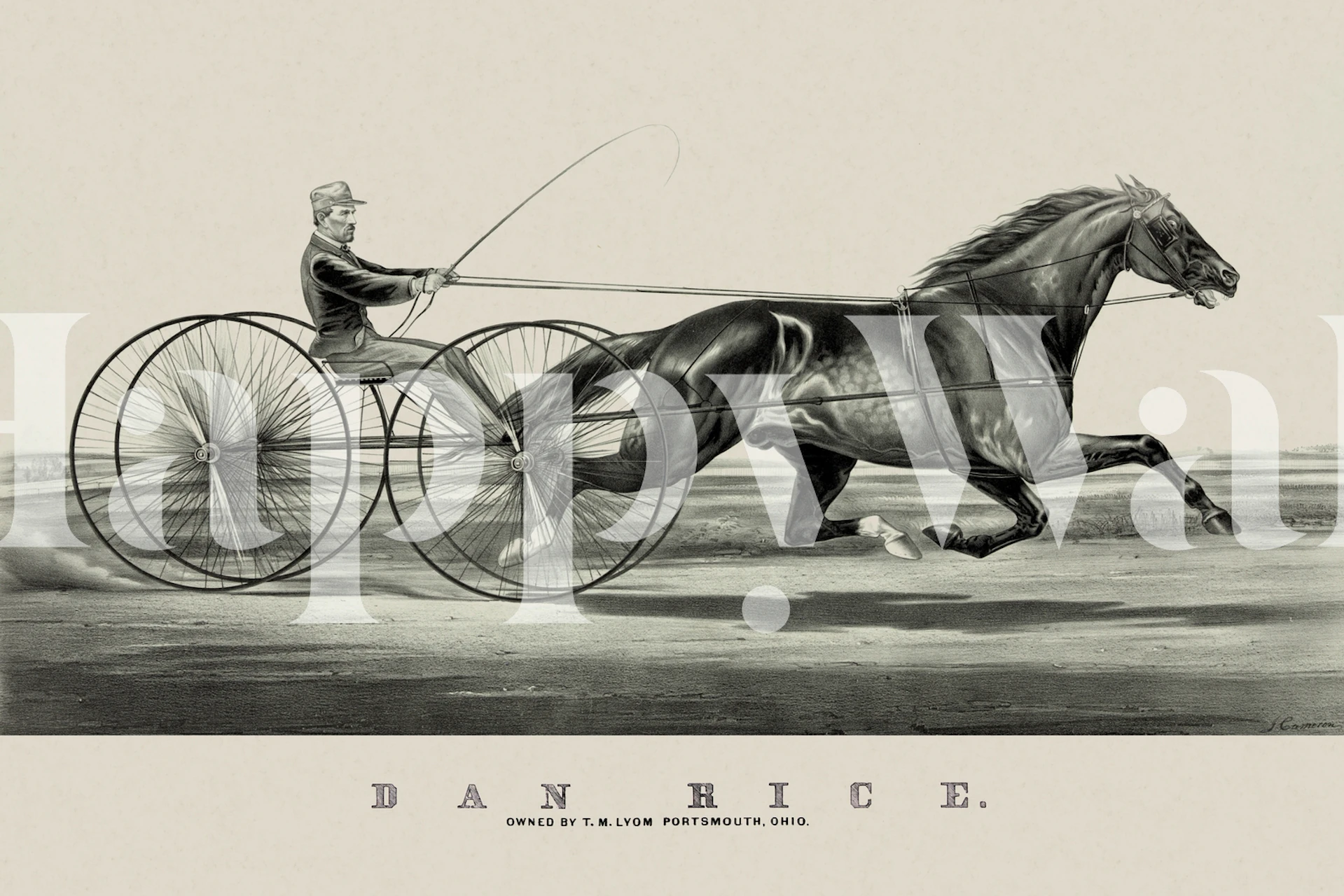 Horse race scene featuring a jockey and horse in motion, black and white vintage art wallpaper