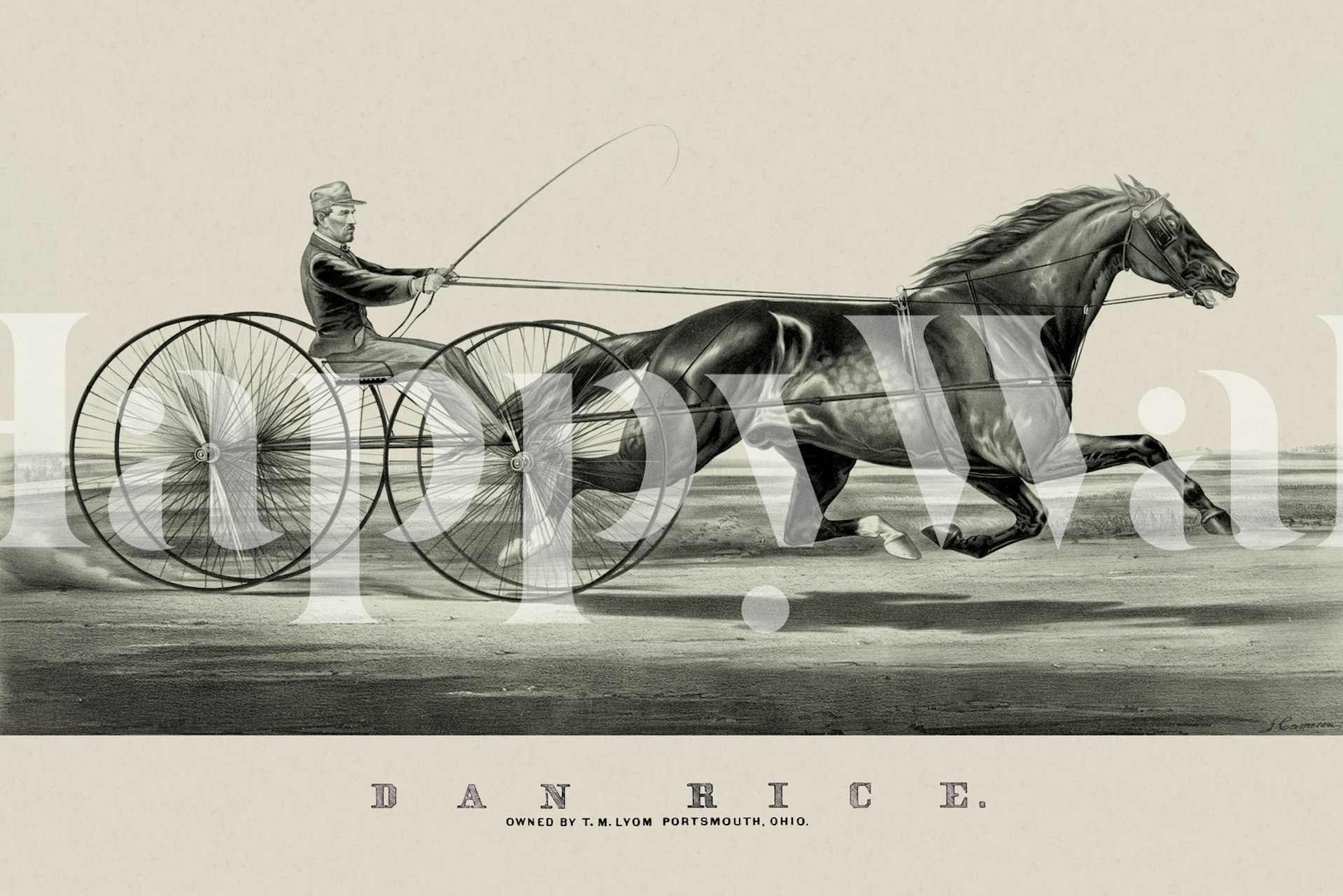 Yksivärinen historiallinen hevoskilpailun seinämaalaus, joka kuvaa ratsasta hevosvaunuissa