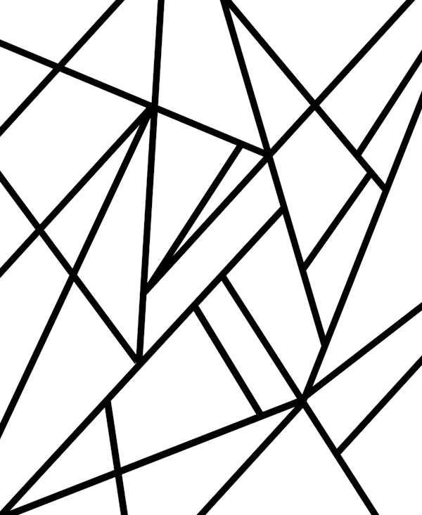 Classic Black White Geo 2