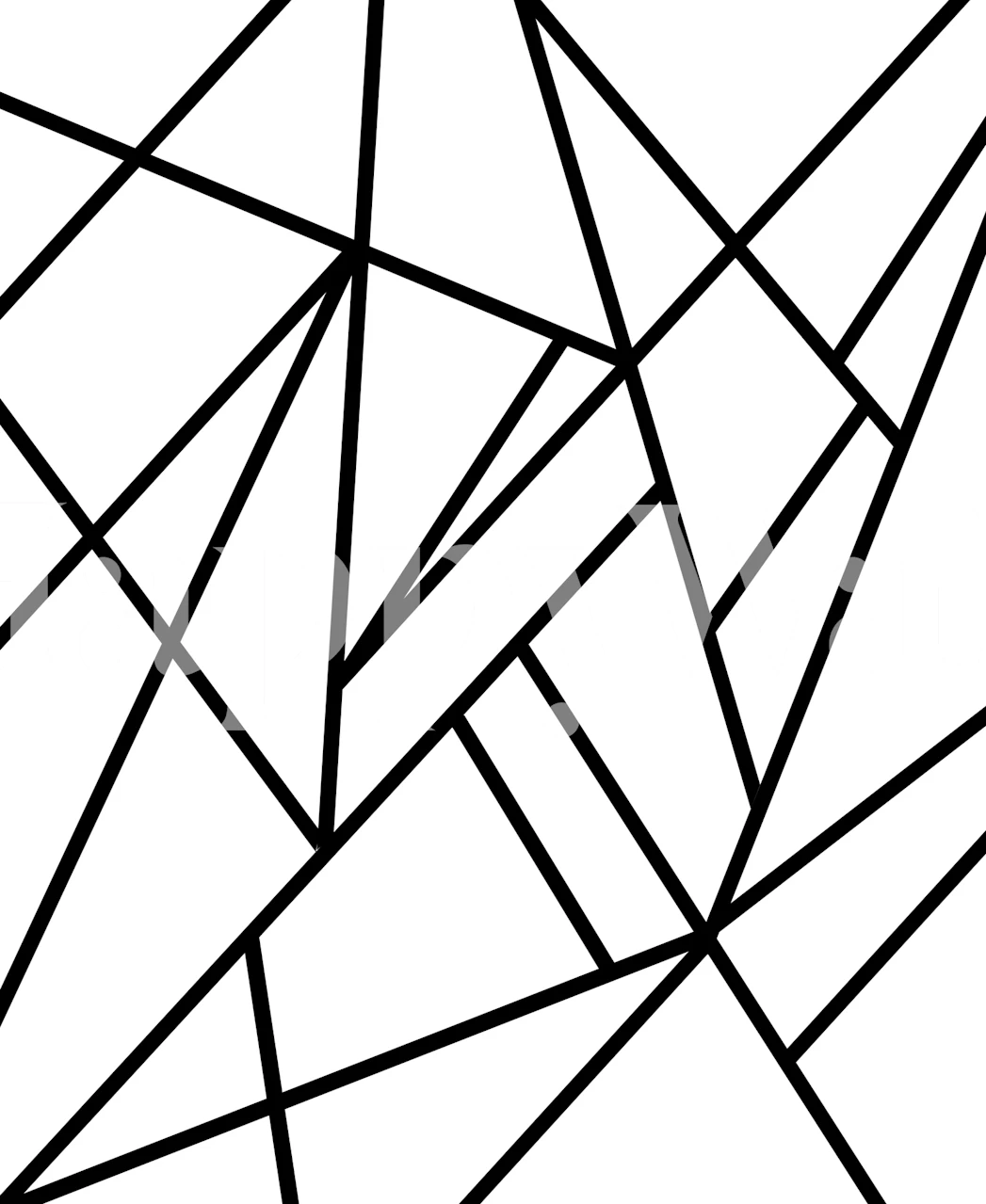 Classic Black White Geo 2 v pokoji