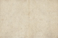 Japanese Japandi Paper Wall wallpaper