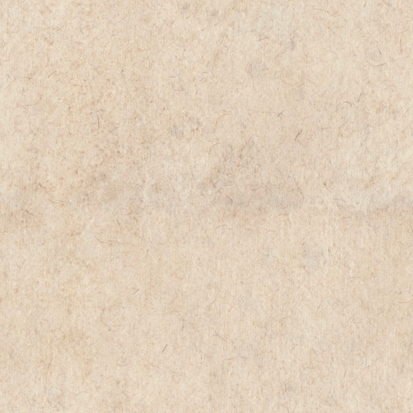 Japanese Japandi Paper Wall