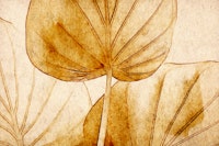 Japandi Leaves behang