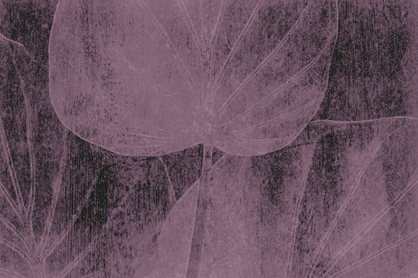 Japandi Leaves