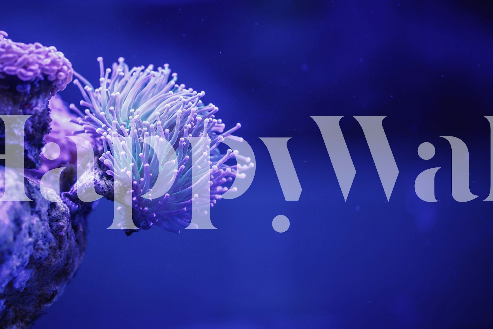 Indigo Ocean Collage wallpaper in a room