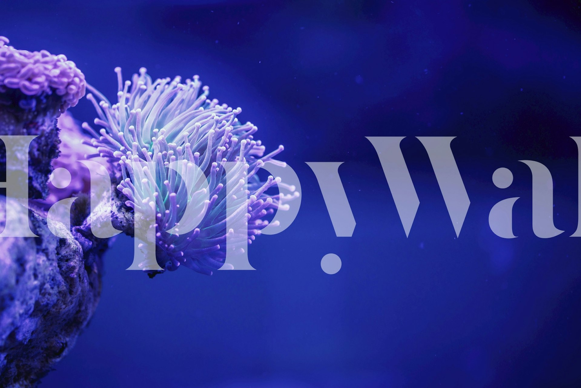 Ταπετσαρία Indigo Ocean Collage σε ένα δωμάτιο