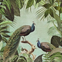 Peacock Fantasy World ταπετσαρία