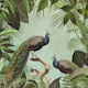 Peacock Fantasy World