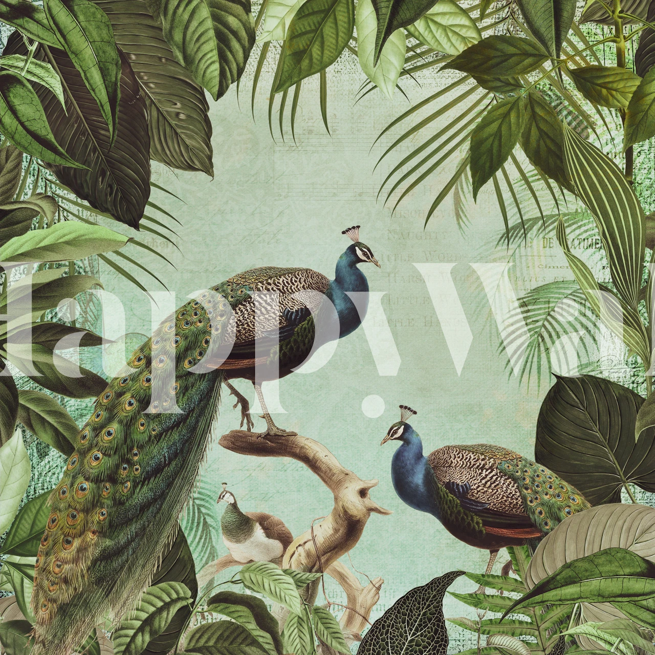 Peacocks with lush green foliage on a wall mural creating a fantasy world atmosphere
