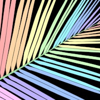 Rainbow Palm Leaf 1 wallpaper