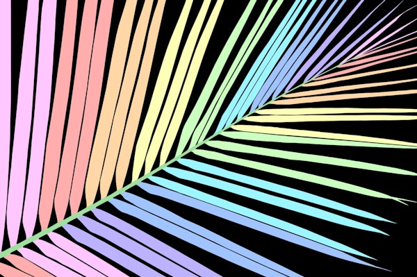 Rainbow Palm Leaf 1