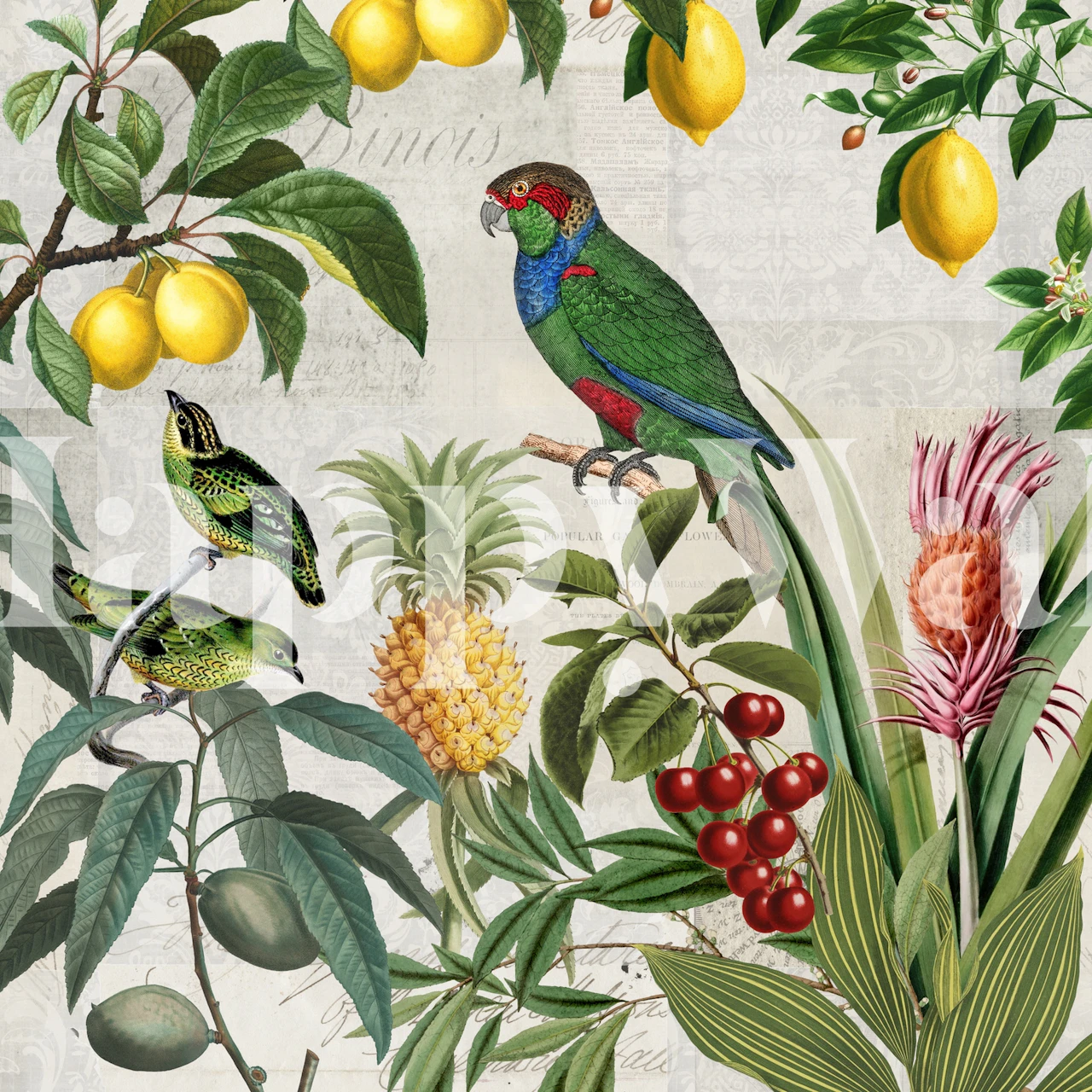 Diseño de papel tapiz Fruit Paradise en una habitación