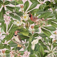 Birds Summer Paradise tapete